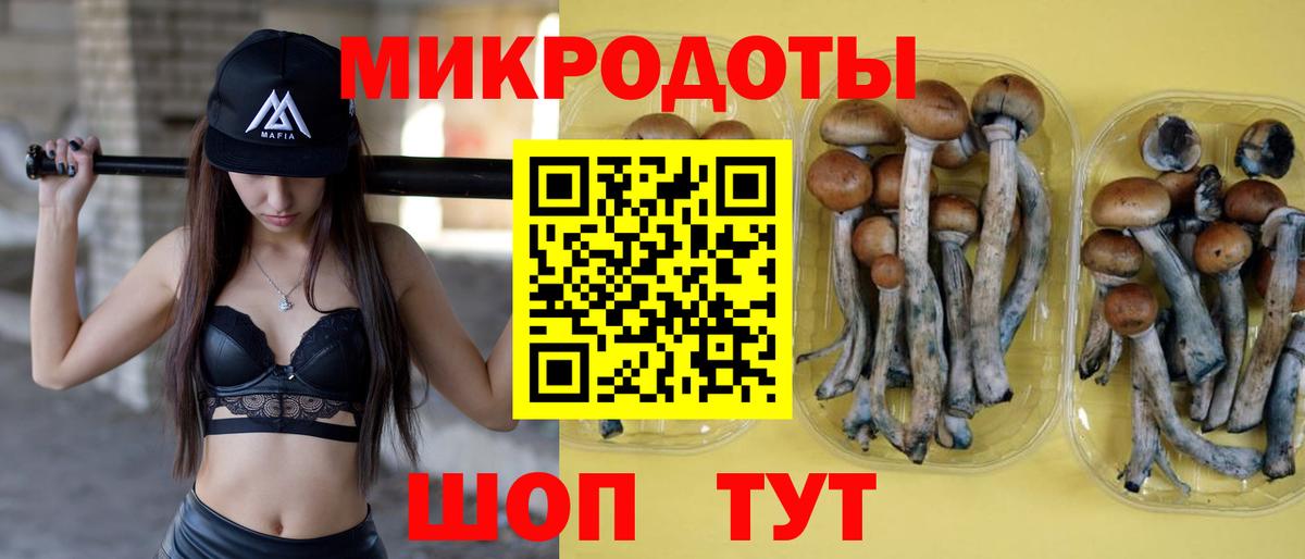 Псилоцибиновые грибы ЛСД  Вход с VPN  Псилоцибиновые грибы GOLDEN TEACHER  Торжок 